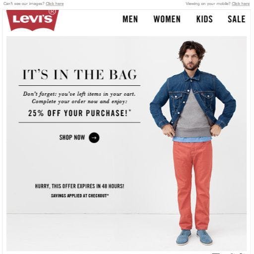 Abandonded cart email example by clothing brand Levis